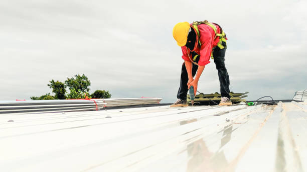 Best Chimney Flashing Repair  in Warner Robins, GA